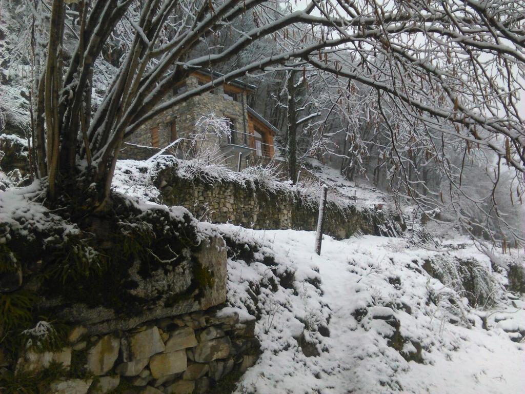Tra Lago E Montagna Baita La Morena Nesso Zewnętrze zdjęcie