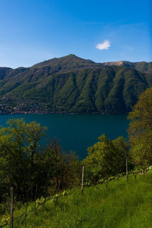 Tra Lago E Montagna Baita La Morena Nesso Zewnętrze zdjęcie